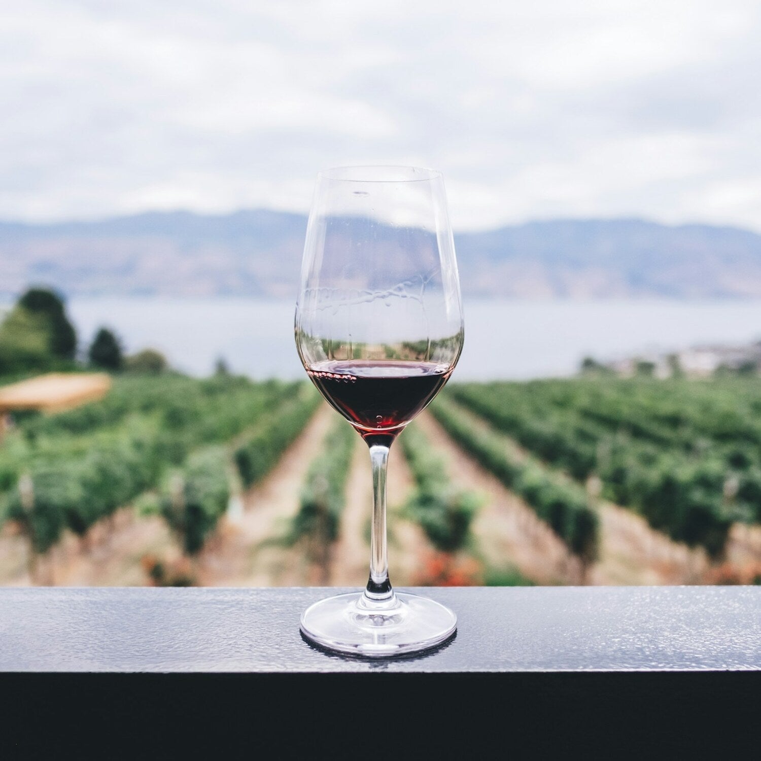 Vino Borgo del Baccano