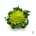 Broccolo romano