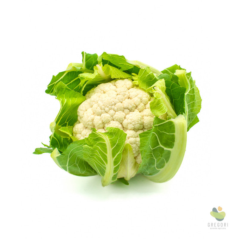 Cavolfiore bianco