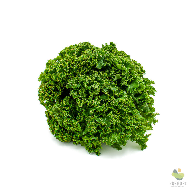 Cavolo toscano riccio (Kale)