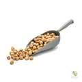 Ceci secchi bio (500g)