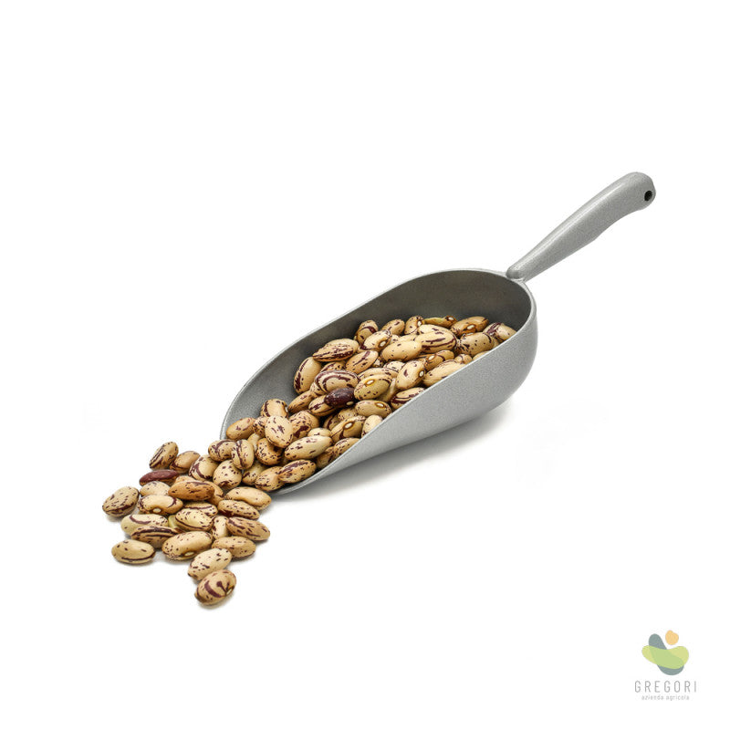 Fagioli borlotti secchi (500g)(bio)