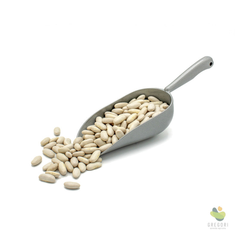 Fagioli cannellini secchi (500g)(bio)
