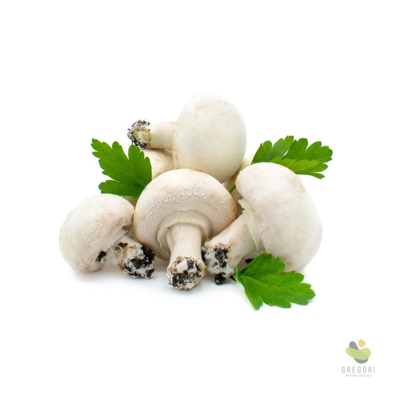 Funghi Champignon freschi