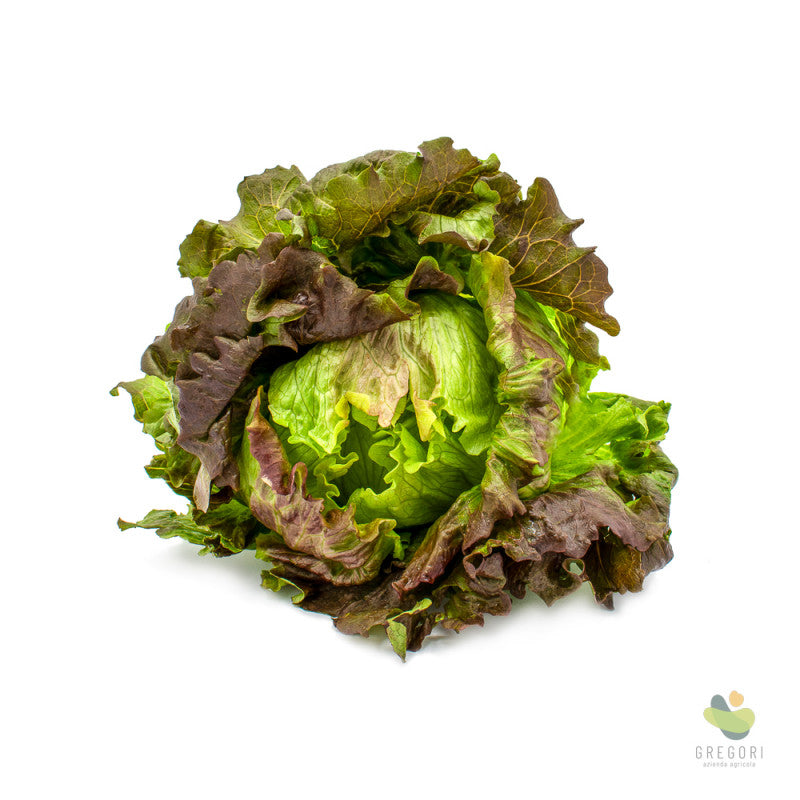 Insalata canasta