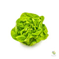 Insalata cappuccina