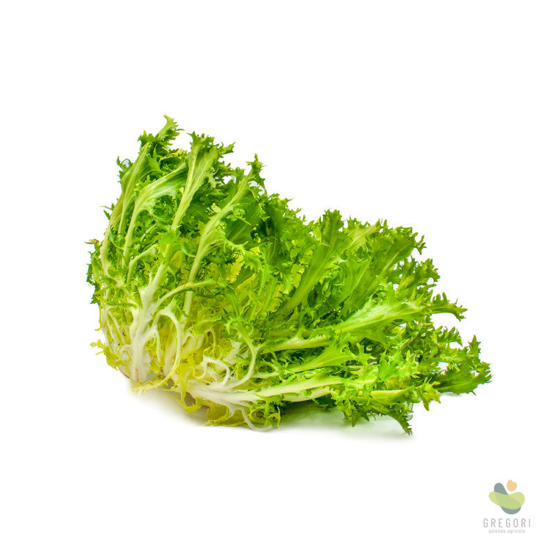 Insalata indivia