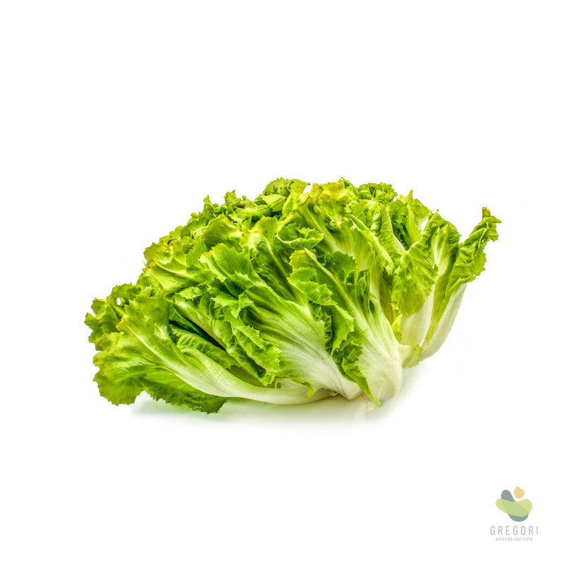 Insalata scarola