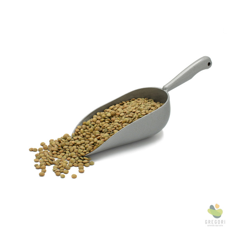 Lenticchie bio (500g)