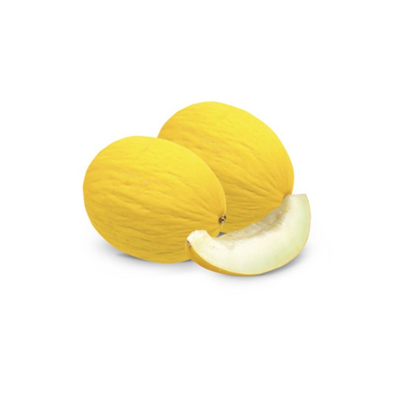 Melone giallo