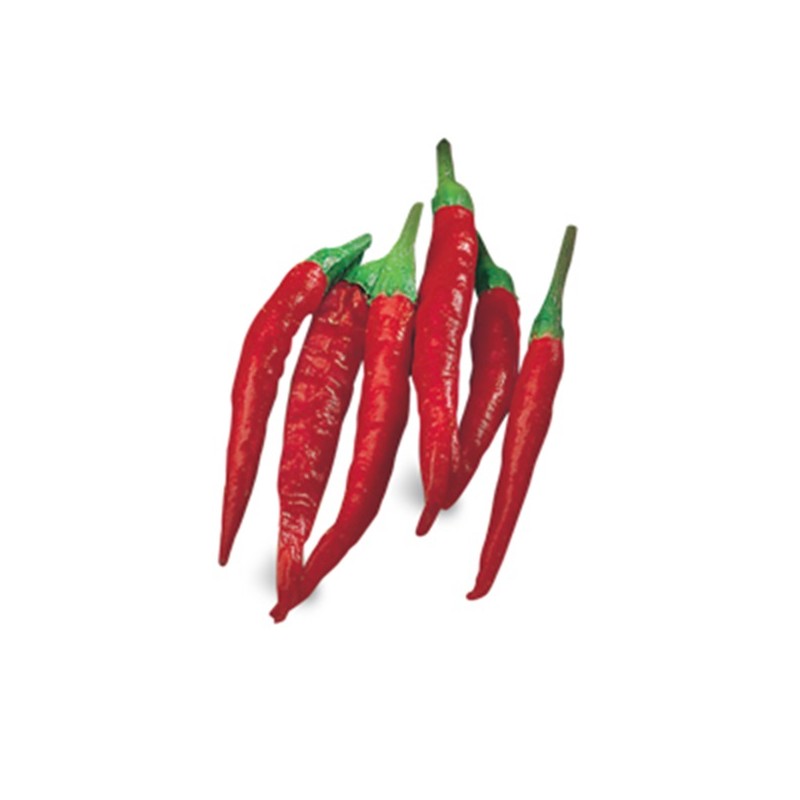 Peperoncino Apache (piantina)
