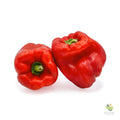 Peperoni (colore mix)