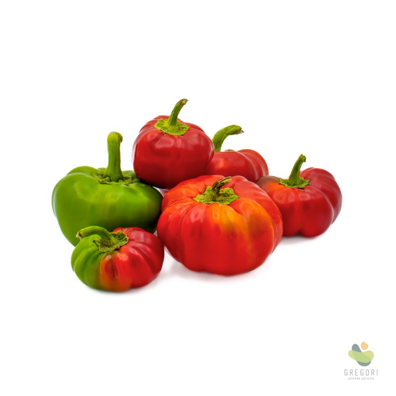 Peperoni Topepo (tondi)
