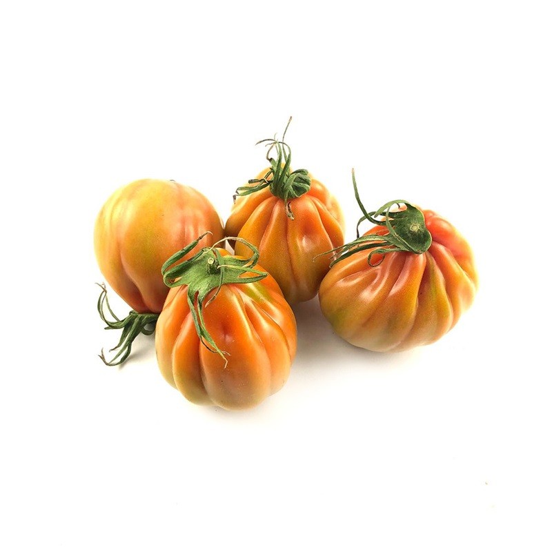 Pomodori Cuore di bue verdone