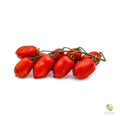 Pomodori Piccadilly