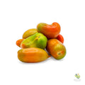 Pomodori San Marzano verdone