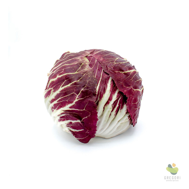 Radicchio tondo