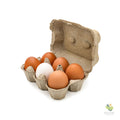 Uova fresche (conf. da 6)