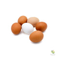 Uova fresche