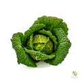 Verza riccia