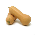 Zucca butternut intera (Circa 2 kg)